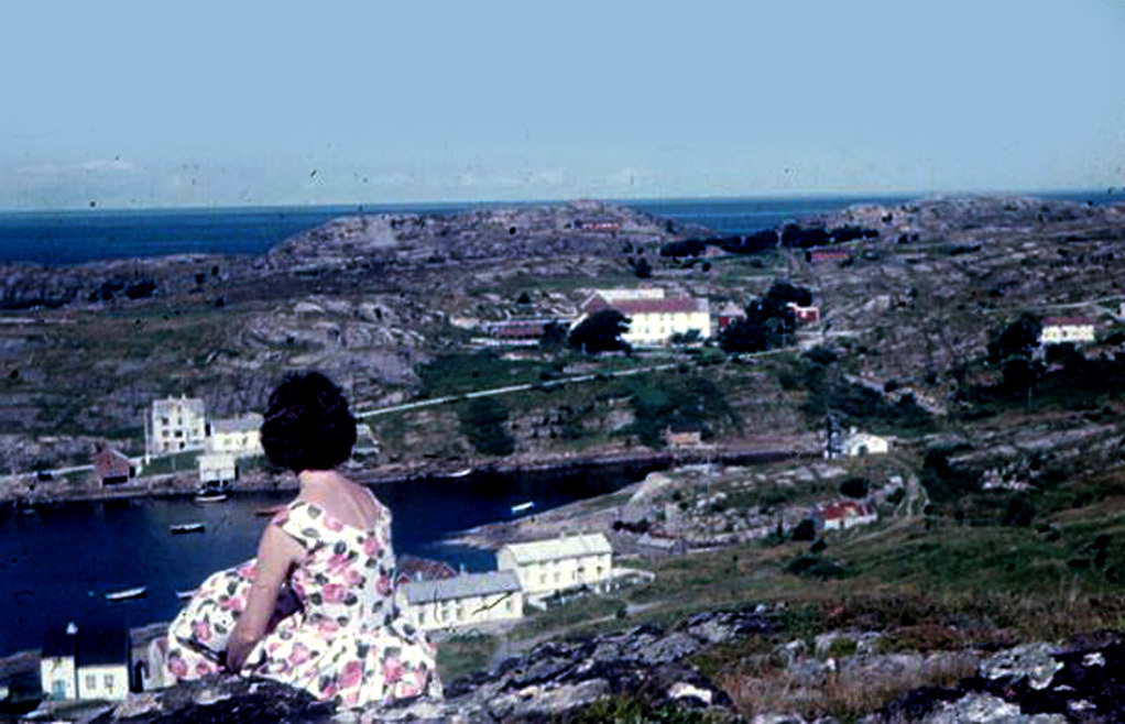 1960 brunsvika