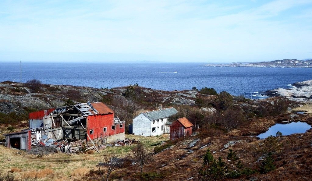 bilde oppdrett