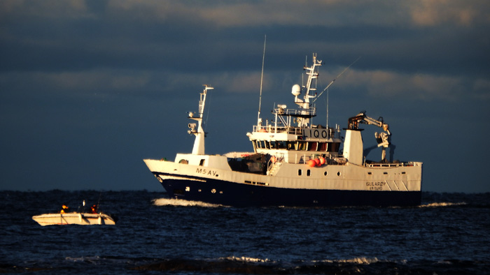 fisk 2a