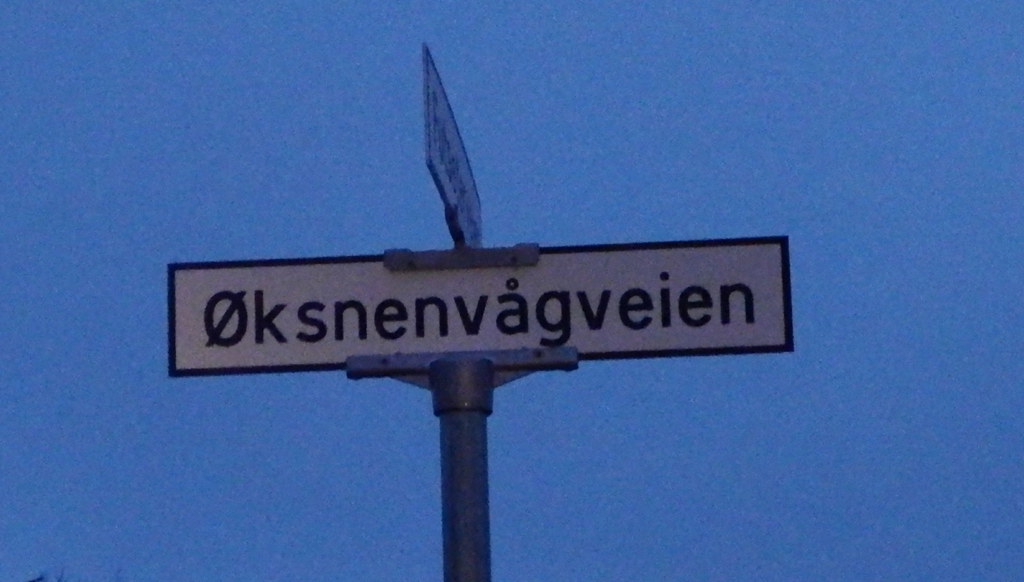 oeksenvaag