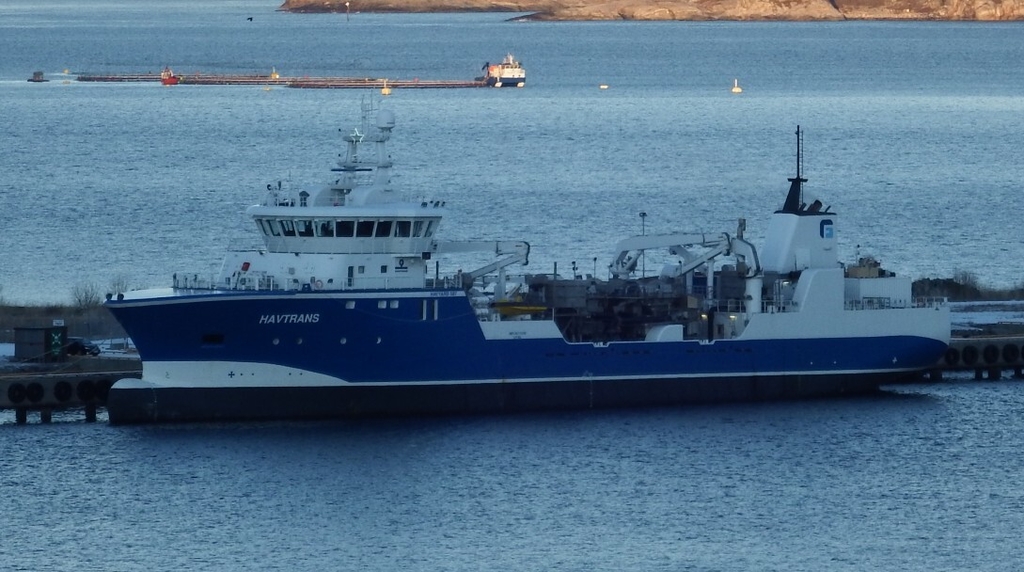 boote st