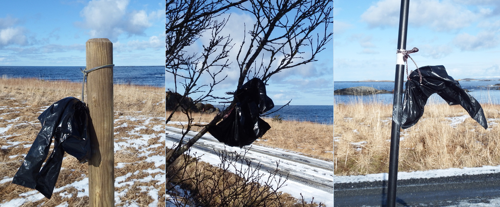 plast fraen