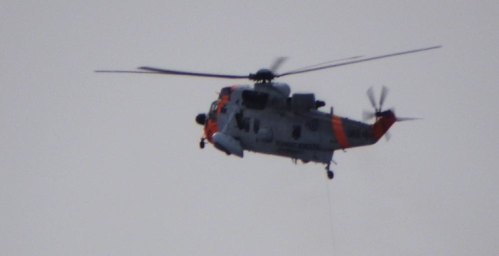 sea king hassel