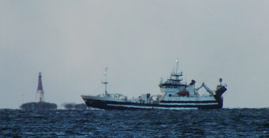 kjel 7
