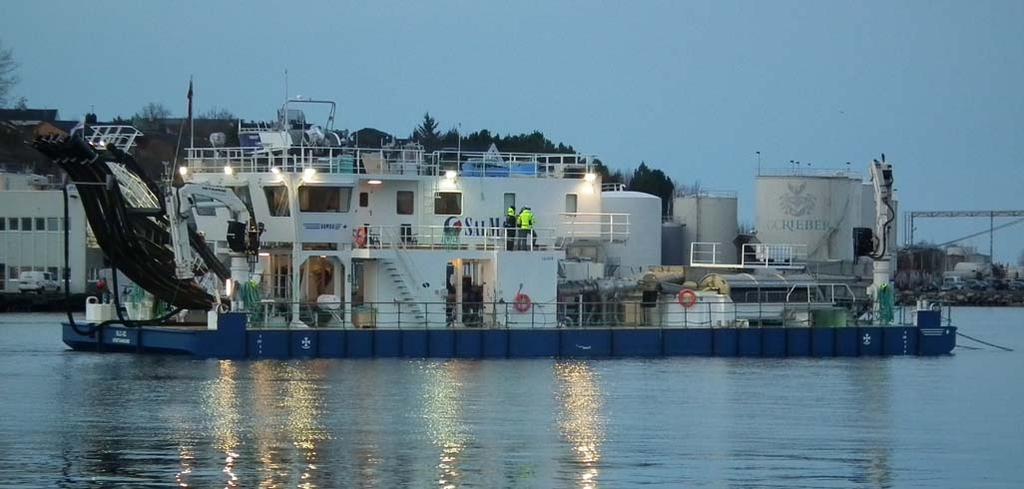 avluus