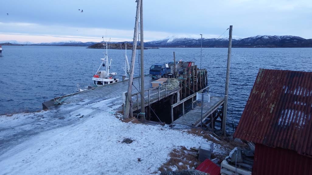 hamn