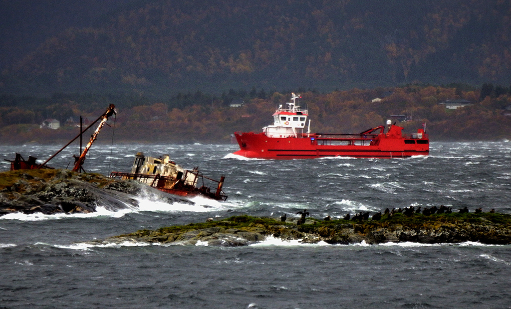 kvann 5