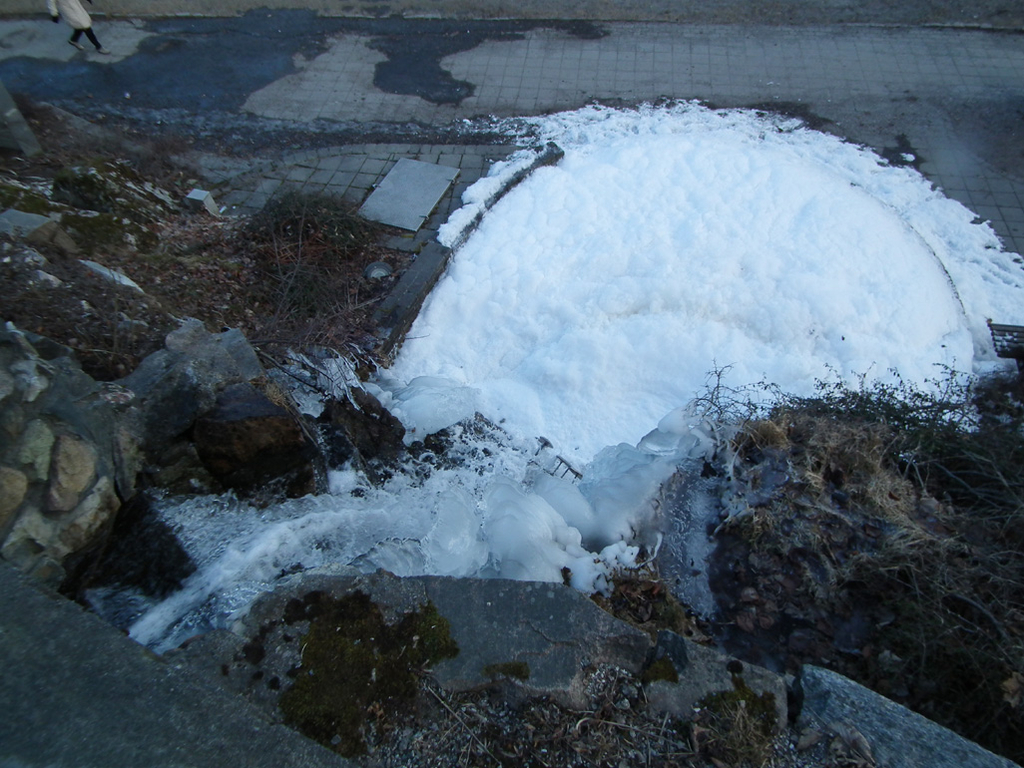 foss 1
