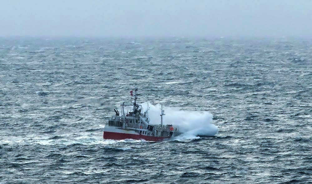 atloey viking