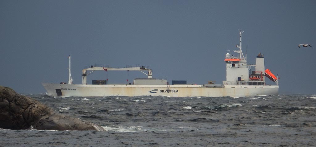 ryg 6