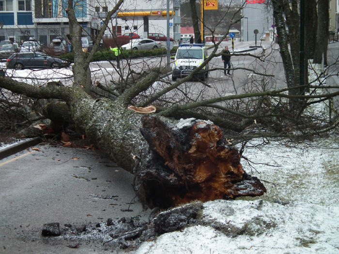 tre 7 feb 15 langveien
