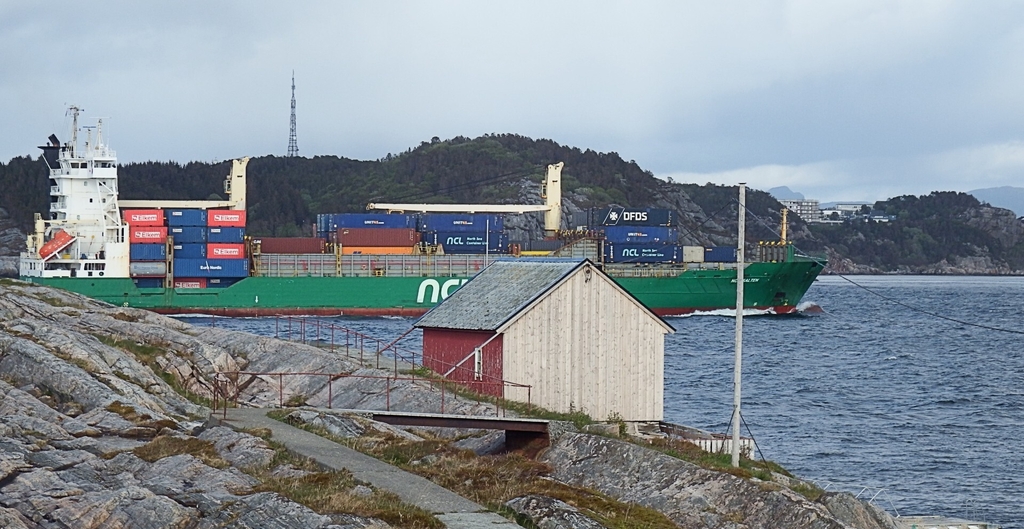 fjera