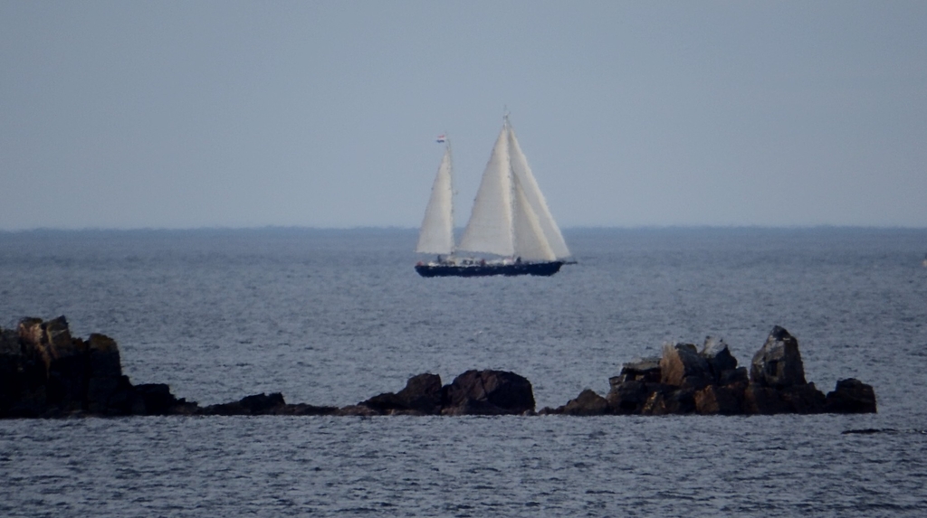 tilvera