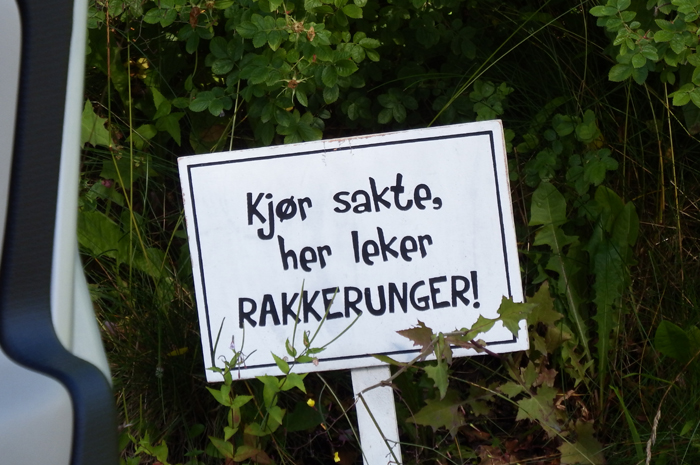 rakk