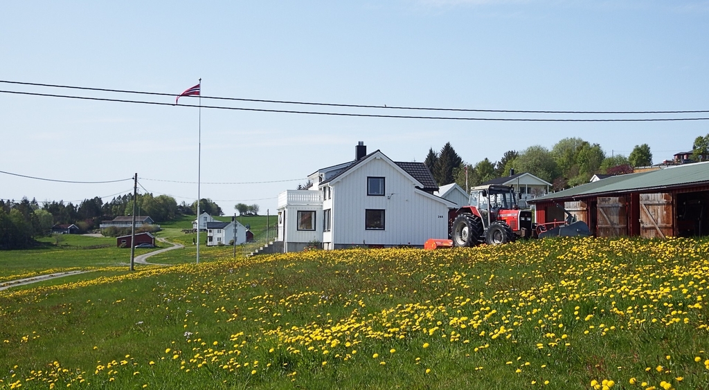 løve