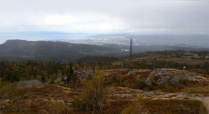 trondheim bnn