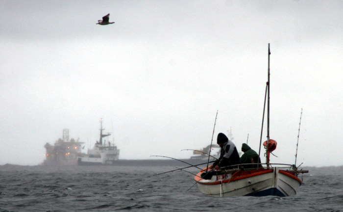 turister fiske