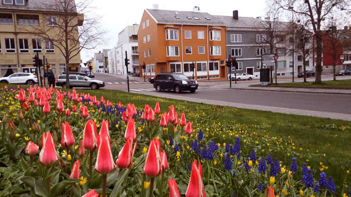 bilm 12