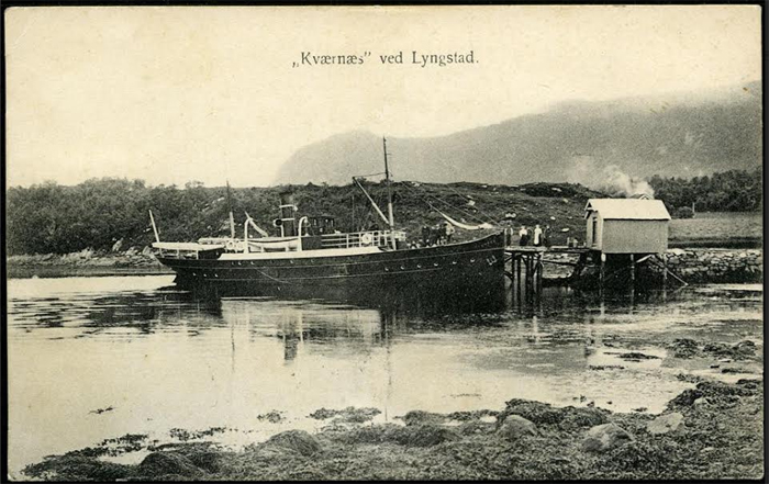 kveinn lingstadt