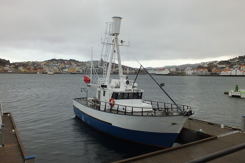 boasa 1
