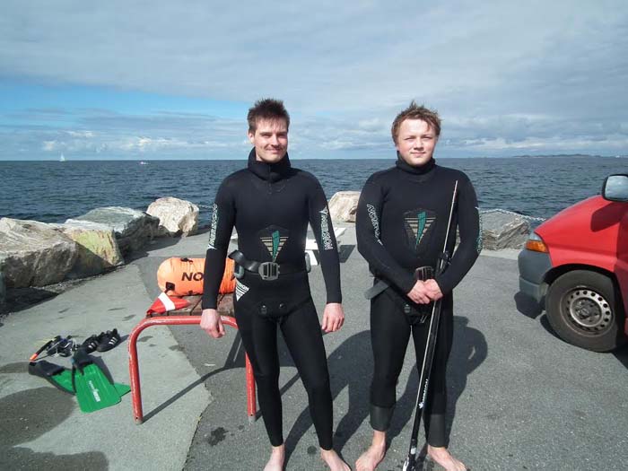 dive 1