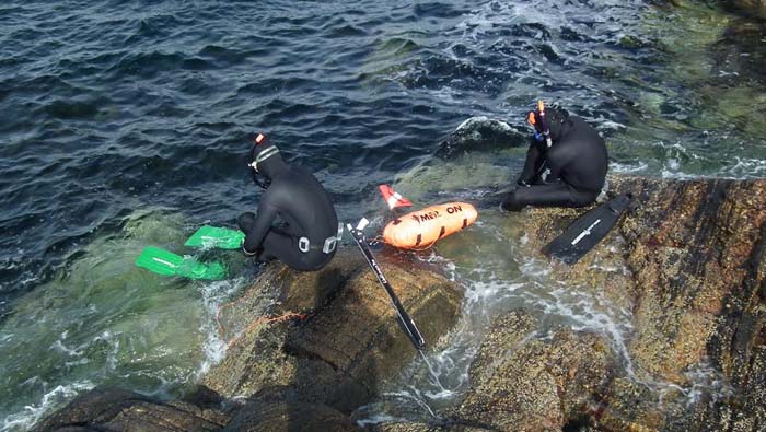 dive 2