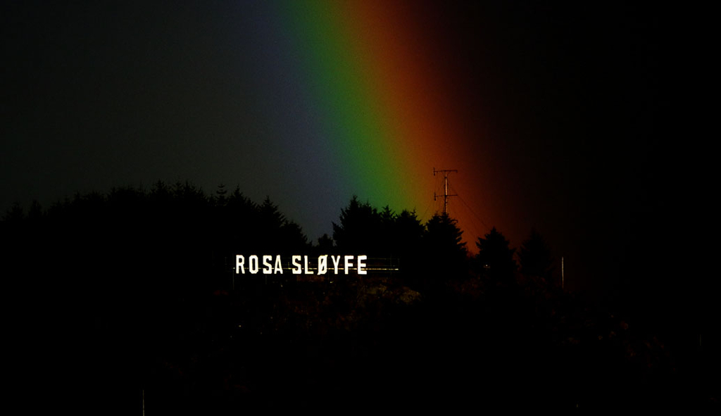 rosa s