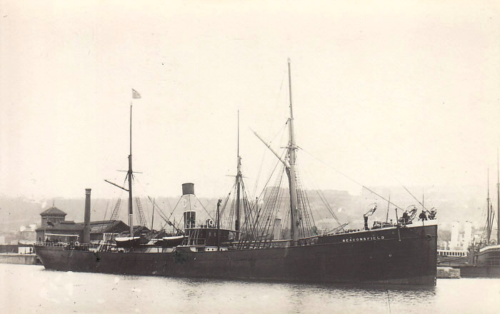 bjogna 6
