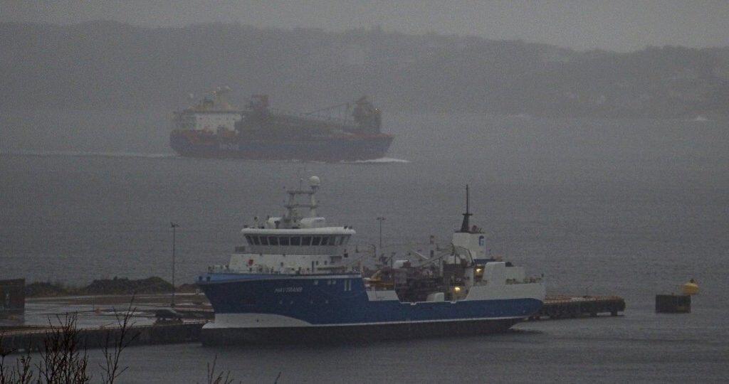 nordnes b