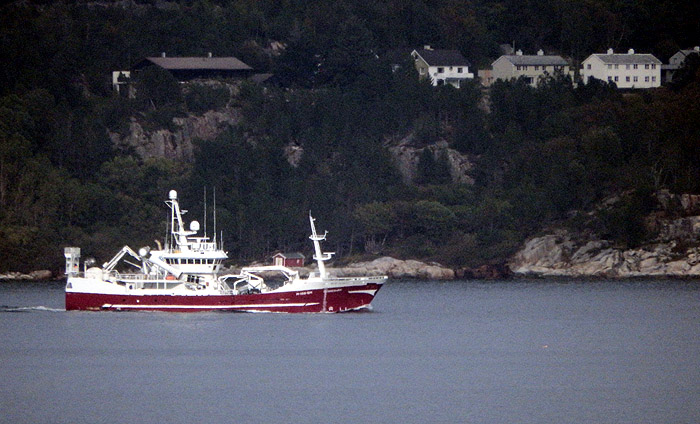 17 bb 5