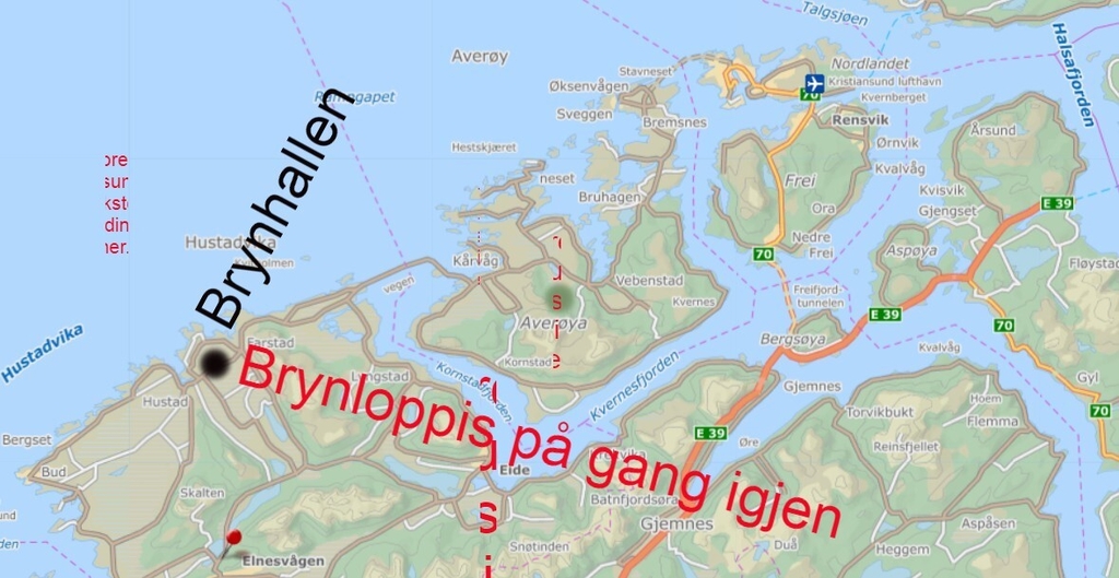 brynhallen bn