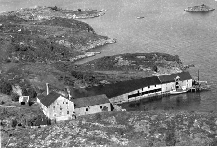 kvalvik algea 1940