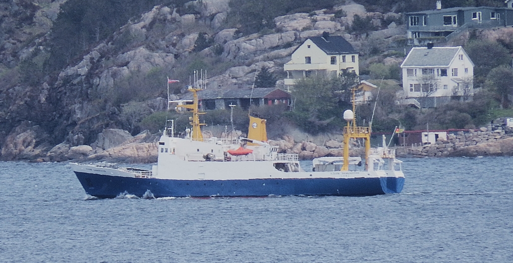 bjarnia