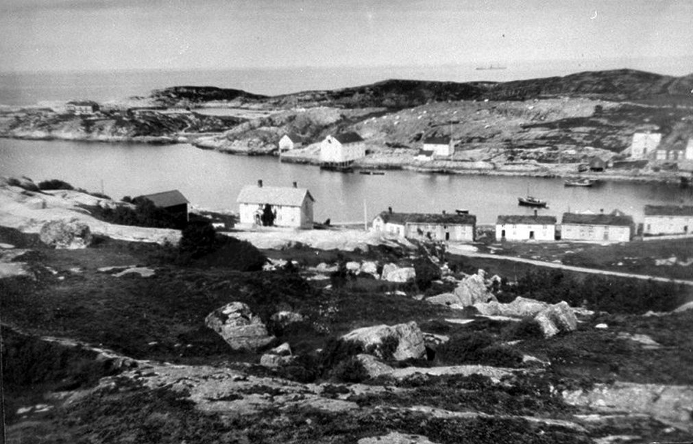 bvika tr 134