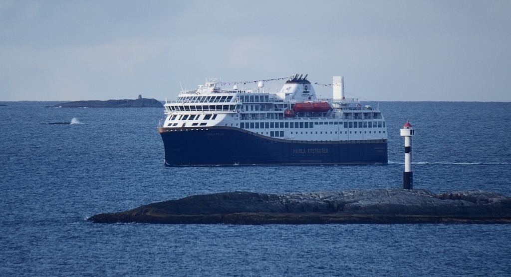 havpollux