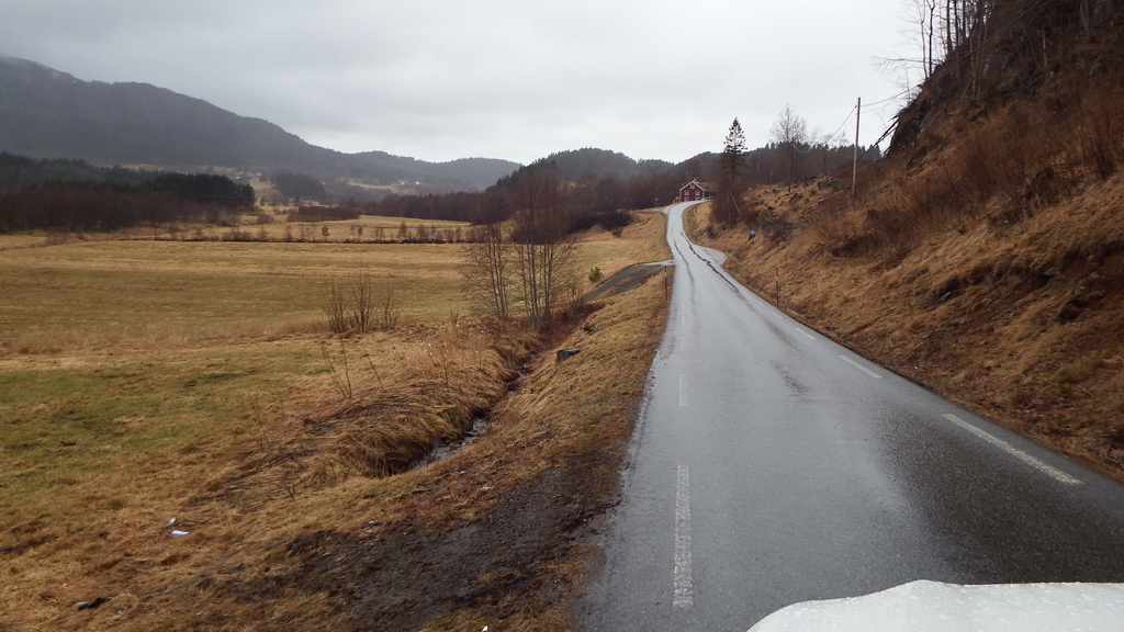 bådalen remmå