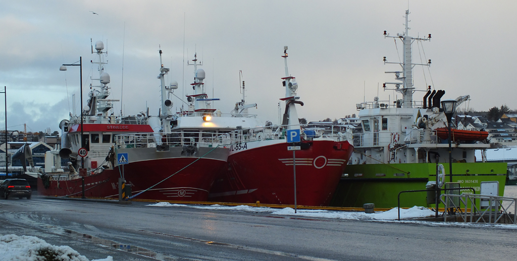 kaia 1