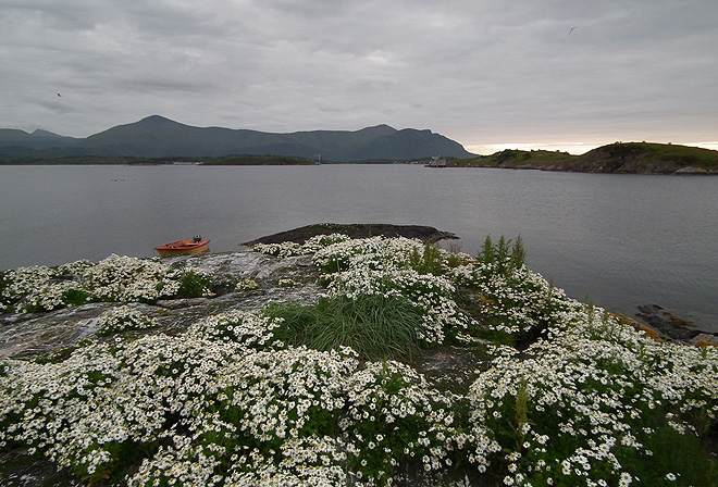 blumen
