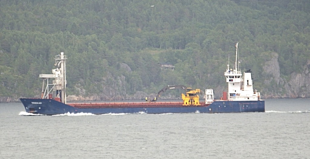 terneskjær