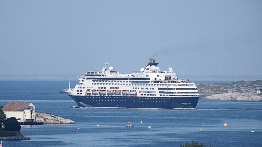 porto vasc