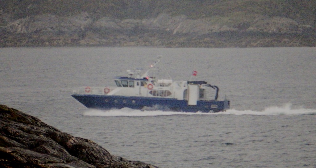 kvikk