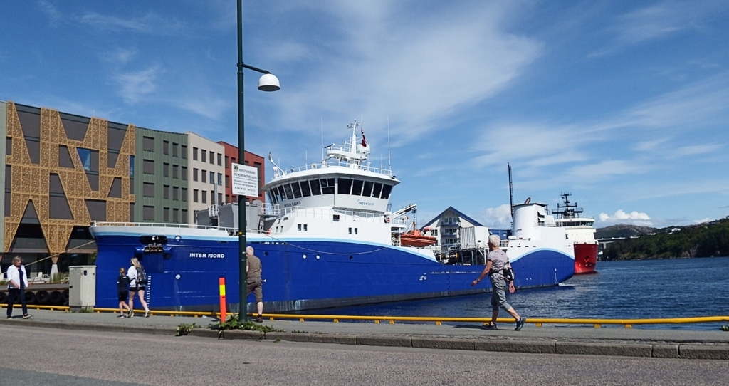 bss inter fjord