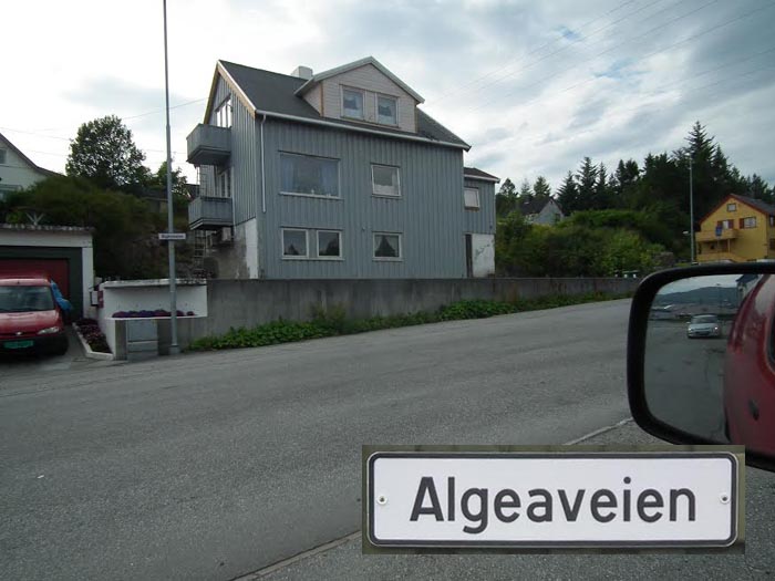 algea