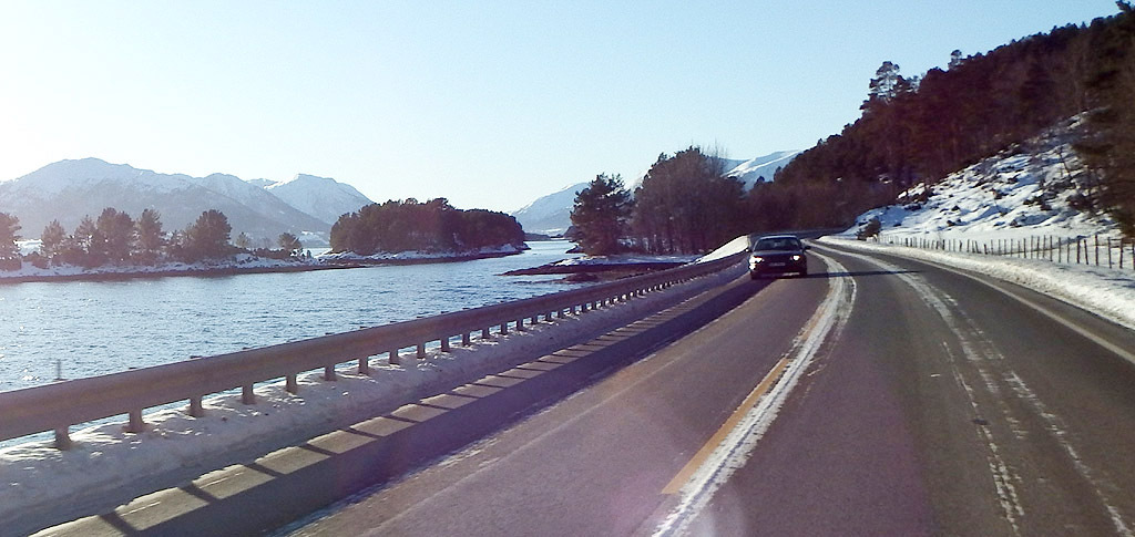 kalde fjorfer 2