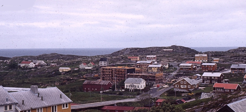 1967 b