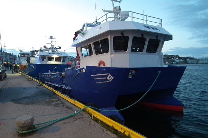 dvk 11