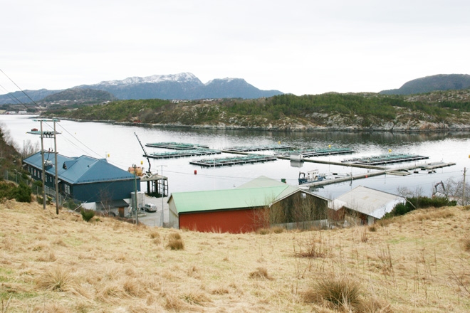 ekkilsøy 2012