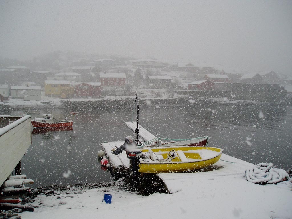 snøvær 20 feb