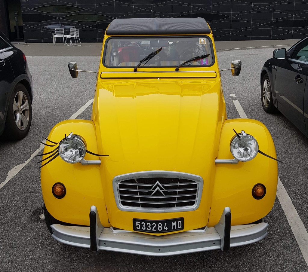 2cv