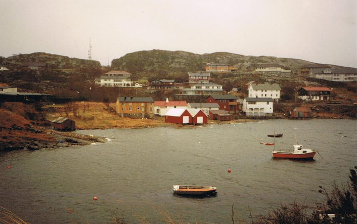 1991 bv